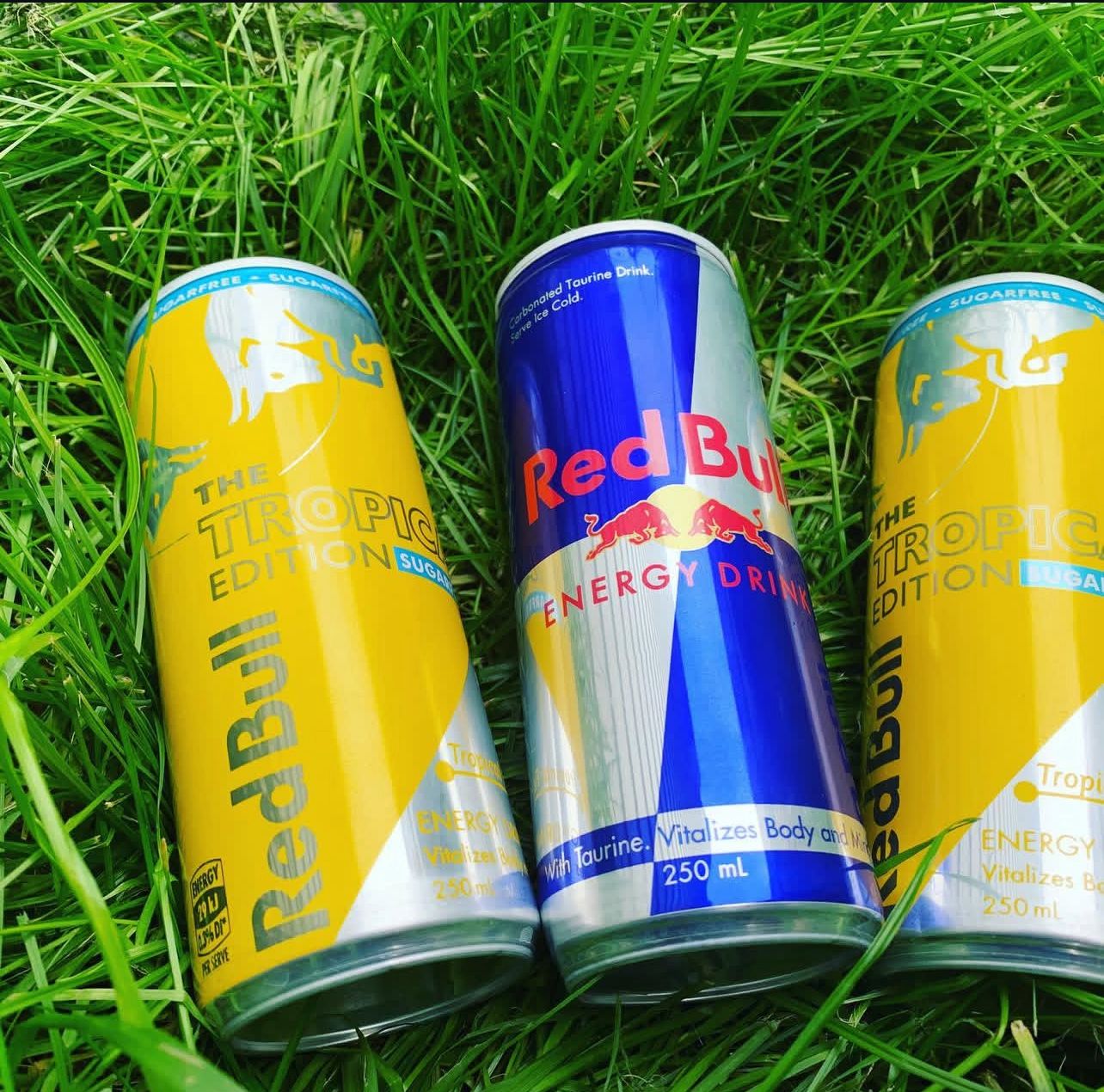Red Bull Energy Drink