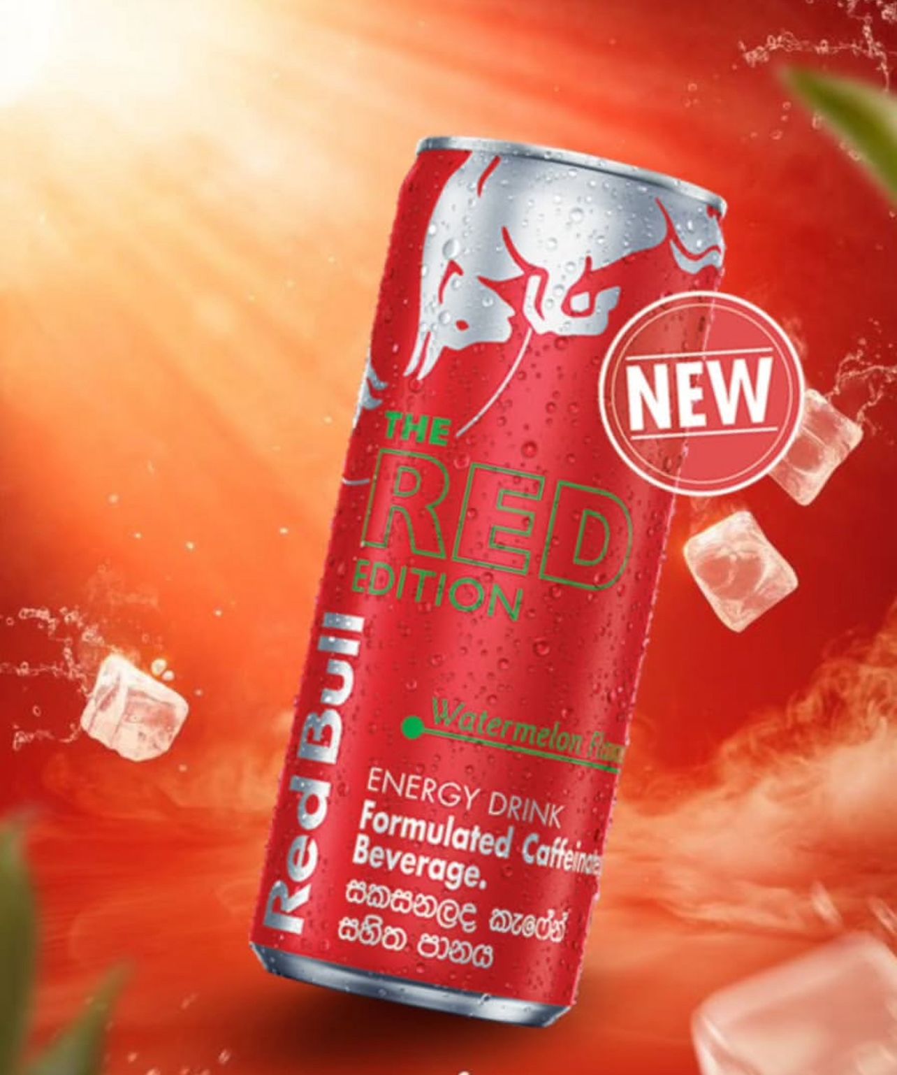 Red Bull Energy Drink