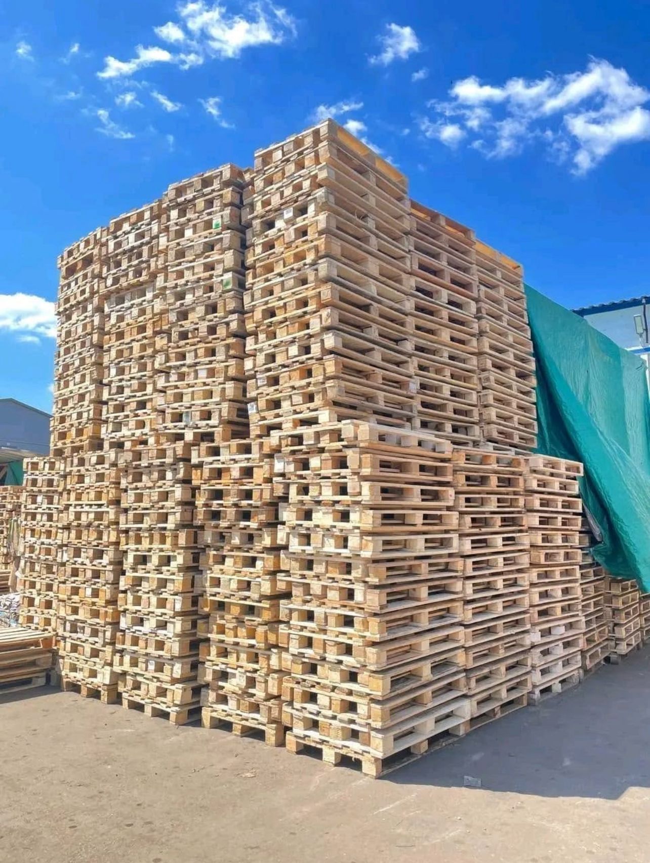 Wood Pallet